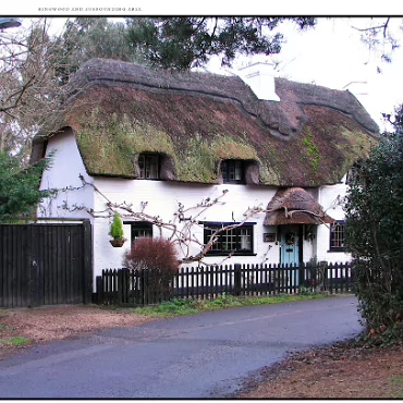 Ringwood, Hampshire, UK Nestled at the edge (now) of the New Forest, Ringwood is my home town in the UK